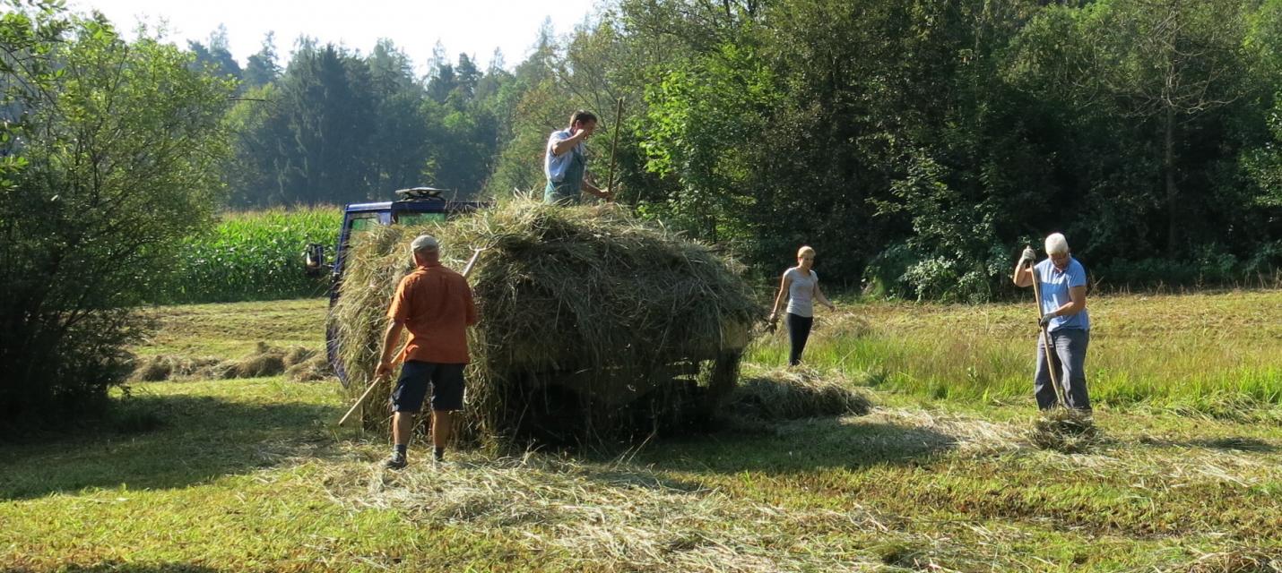 Streutag - Arbeitseinsatz